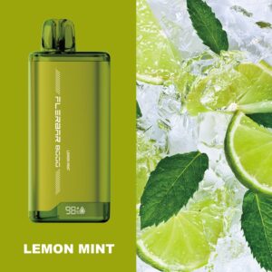FLERBAR 8000 DISPOSABLE VAPE 8000 PUFFS Lemon Mint PUFF COUNT: 8000 PUFFS MILLILITER: N/A NICOTINE STRENGTH: 50MG NICOTINE TYPE: SALT NICOTINE